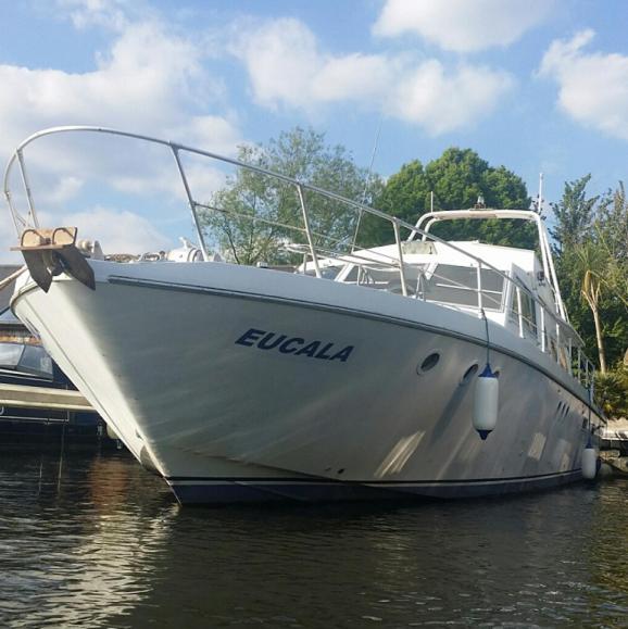 Eucala Motor Yacht Otel Molesey Dış mekan fotoğraf